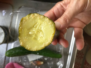 Nukadoko Progress Report: The Forgotten Pickle or Beyond Furuzuke