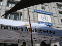 Vegetable Adventures at the United Nations University Farmers Market